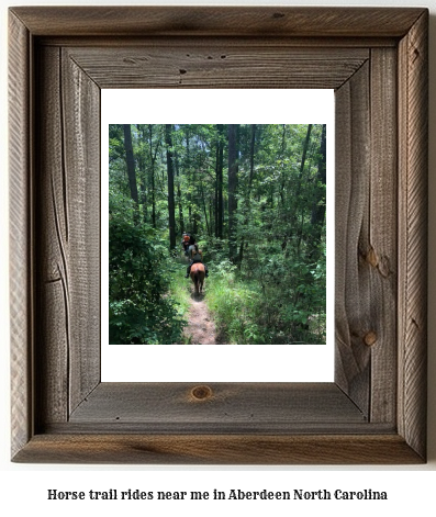 horse trail rides near me in Aberdeen, North Carolina